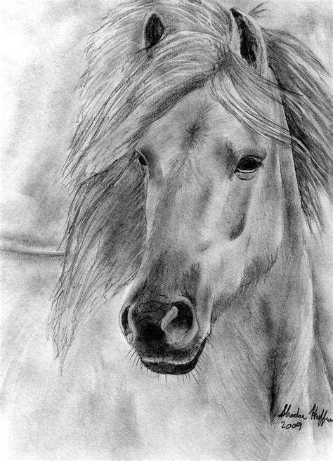 Wild Horse By Farfinmosker Equine Art Pencil Drawings Pencil Drawings