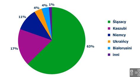 Procentowy diagram kołowy przedstawia najliczniejsze mniejszości