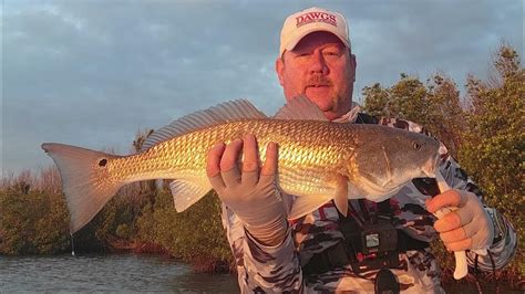 Found Redfish And Snook In New Spots Youtube