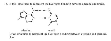 Solved If This Structures To Represent The Hydrogen Bonding