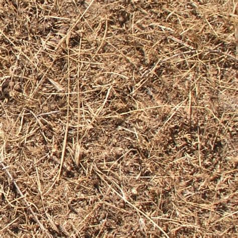 Dry Grass Texture Seamless