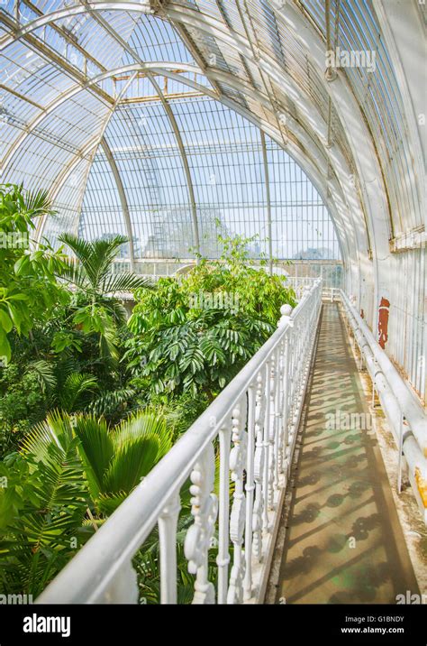 The Palm House At Kew Gardens Hi Res Stock Photography And Images Alamy