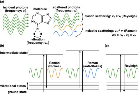 Illustration Of Raman Scattering And Rayleigh Scattering Processes A