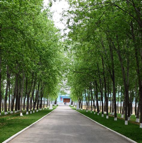 North Korea - A Secret World - Battleship and Blossom Tour Part 4 - Sue