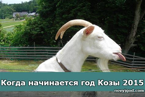 Когда начинается год Козы 2015?