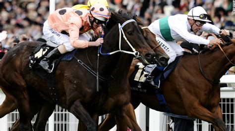 Horse Racing: Black Caviar ready for return - CNN