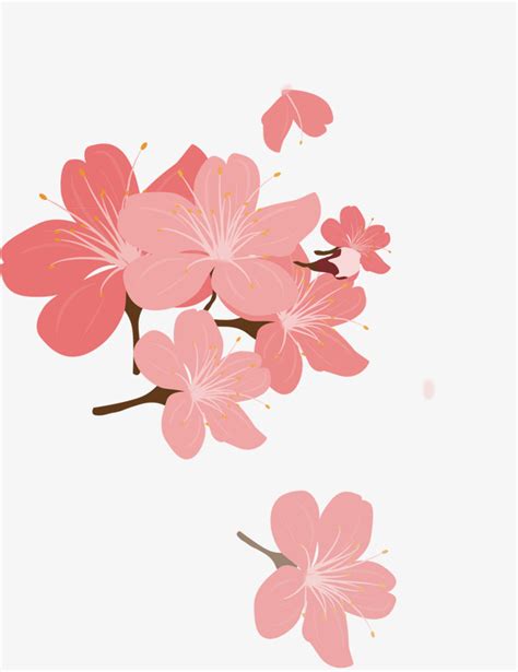 Cherry Blossom Petal Vector At Getdrawings Free Download