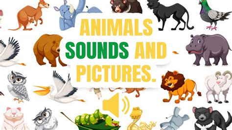 Top 103 + Animals and their sounds chart - Inoticia.net