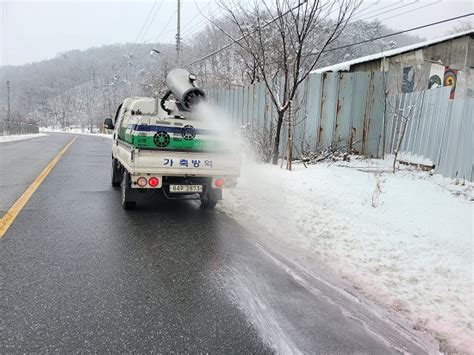 경기도 설 연휴 가축전염병 특별 방역 대책 추진 환경법률신문