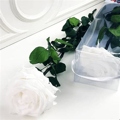 Descubra Kuva Bouquet Rose Eternelle Blanche Thptnganamst Edu Vn