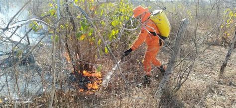 Prevenção De Incêndios Florestais Medidas Essenciais Para Salvaguardar