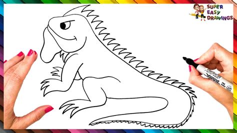 How To Draw An Iguana Step By Step 🦎 Iguana Drawing Easy Youtube