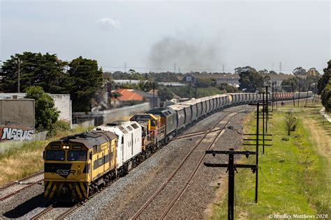 Ssr Grain At Nth Sunshine On Clf Flickr