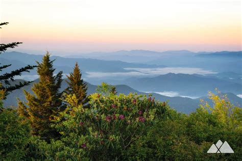 Great Smoky Mountains National Park Road Trip Worthy Hikes Atlanta