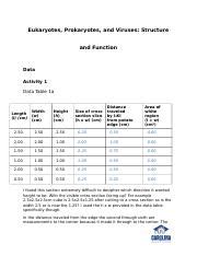 Bio L M Cell Structure And Function Lab Report Docx Eukaryotes