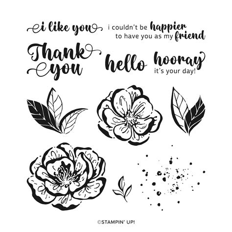 Stempelset Irresistible Blooms Von Stampin Up