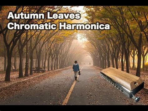 Autumn Leaves Chromatic Harmonica YouTube