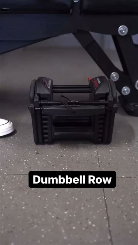 Dumbbell Row : r/exercisepostures