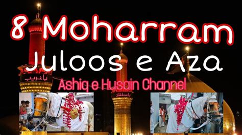 8 Moharram 14452023 Juloos E Aza Mahmudabad Youtube