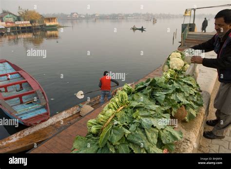 Floating Market Workers Dal Lake Srinagar Kashmir India Stock Photo