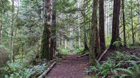 10 Best Trails And Hikes In Qualicum Beach Alltrails