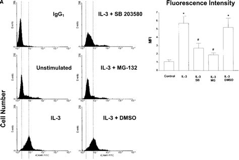 Effects Of MG 132 And SB 203580 On The A IL 3 B IL 5 And C