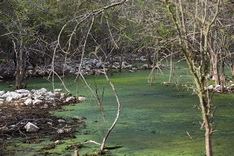 La Jornada Maya Yucatán La Jornada Maya Manto freático de Yucatán