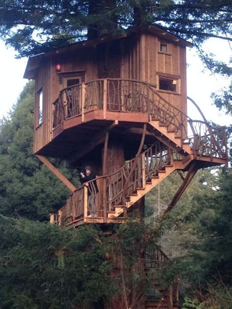 The Coolest Treehouses In The World