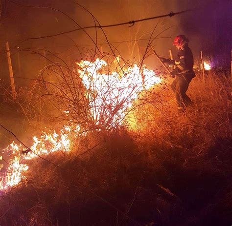 Peste 1000 de hectare s au făcut scrum din cauza incendiilor de