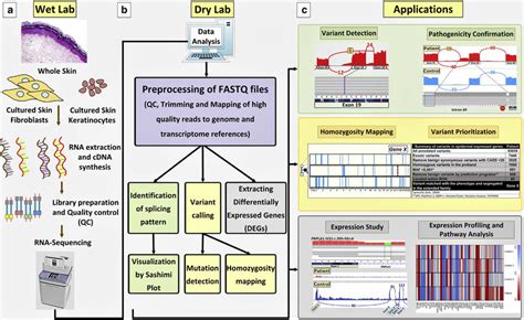 Rna Seq Technique Workflow The Bioinformatics Analysis Steps And