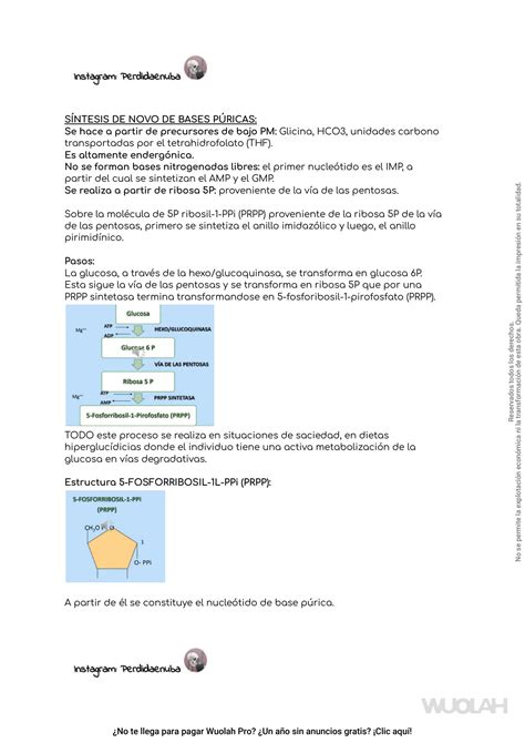 Solution Bioqu Mica Metabolismo De Bases P Ricas Y Pirim Dicas Perdida