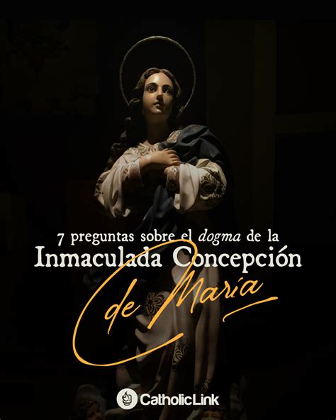 7 Preguntas Sobre La Inmaculada Concepción Catholic Link