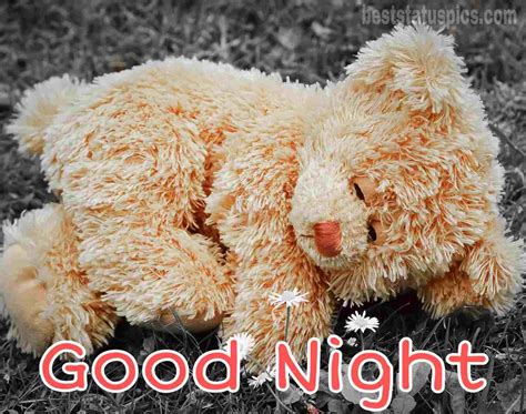 51 Love Good Night Images With Teddy Bear And Doll Hd Best Status Pics