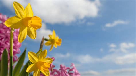 Wetter an Ostern Vorhersage für das Osterwochenende