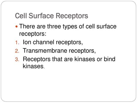 PPT - Types of Receptors PowerPoint Presentation, free download - ID:3311200