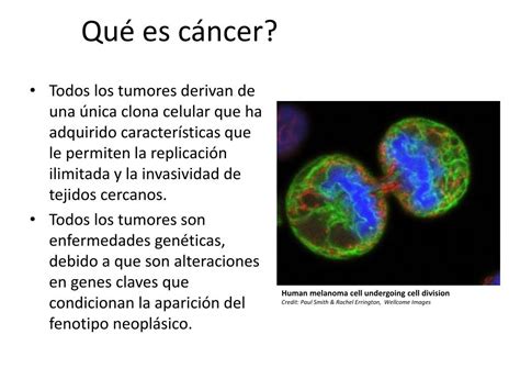 Ppt Introducción A La Oncología Powerpoint Presentation Free Download Id 2078773