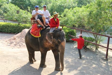 Bangkok Turu Pattaya Turu Tayland Turlar Yoldaolmak