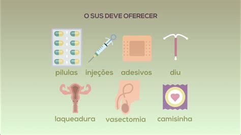 Um Ano De Zika As Mulheres No Centro Da Epidemia Ebc Especiais