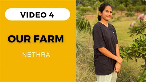 Video 4 Our Farm Nethra Vaaradhifarms YouTube