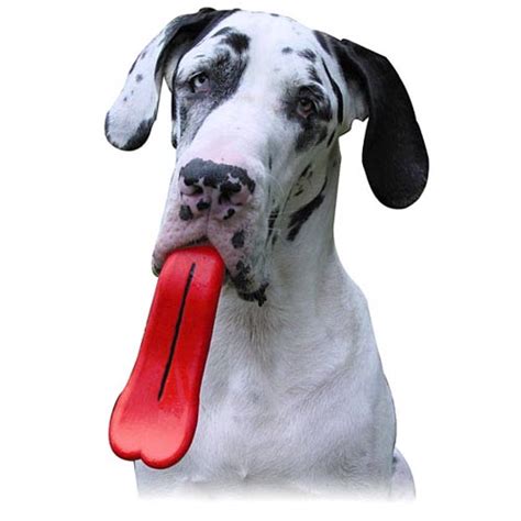 Humunga Tongue Toy