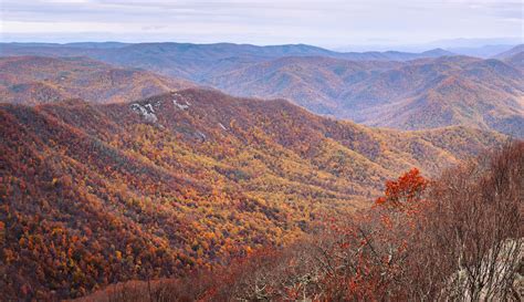 Virginia Fall Foliage: The Top Places to Visit - Minneopa Orchards