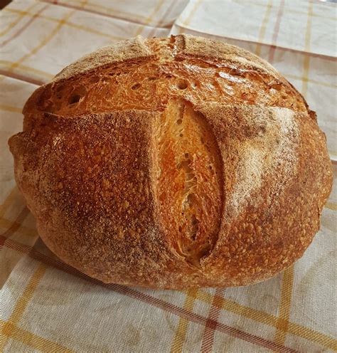 Pane Nero Di Castelvetrano Scopri Come Prepararlo Con Pappa Blog