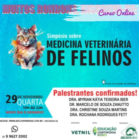 Curso Online Simpósio sobre medicina veterinária de felinos