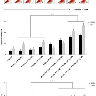 Combination Treatment Of BKM120 And TRAIL Induces Apoptosis In