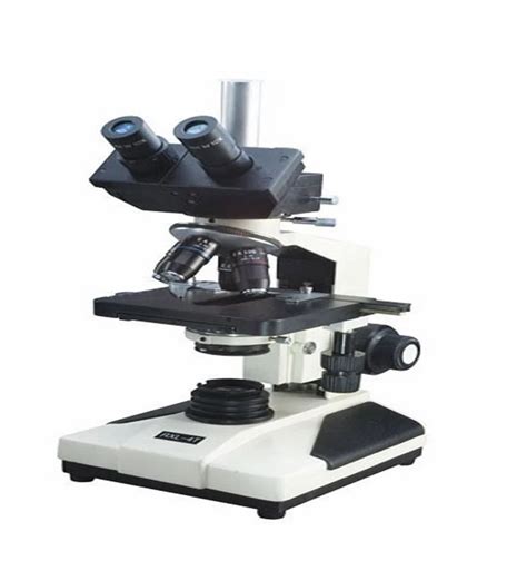 Radical 100x To 1000x Binocular Phase Contrast Microscope Model Name Number Rxl 4bph At Rs