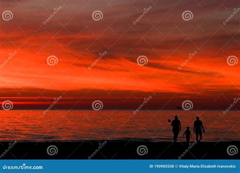 Silhouette of Couple on the Beach at Sunset Stock Photo - Image of dawn ...