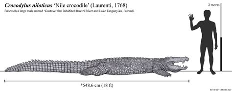 Gustave, History’s Deadliest Crocodile