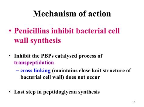 Beta Lactam Antibiotics And Other Inhibitors Of Cell Wall Synthesis Ppt