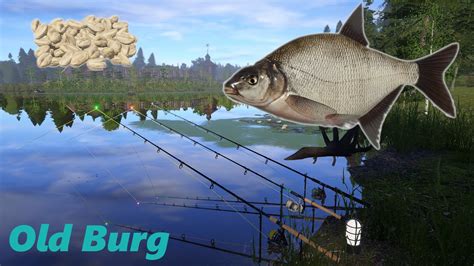 Russian Fishing Rf Spot Old Burg Lake Bream Brasse Leszcz