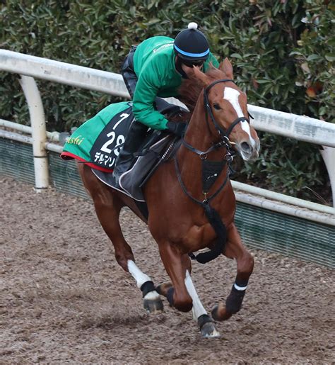 【ケンタッキーダービー】デルマソトガケ瀬川助手「落ち着きある、あとはリラックスして競馬を」 海外 競馬写真ニュース 日刊スポーツ